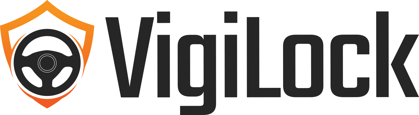 VigiLock Logo Icon